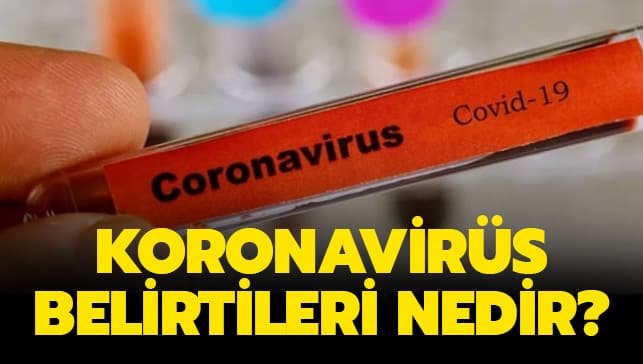 Koronavirüs Nedir